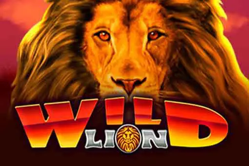 Wild Lion 